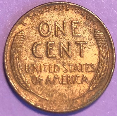 Interesting-Find-From-Circulation