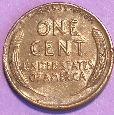 Interesting-Find-From-Circulation