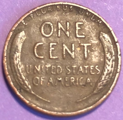 Interesting-Find-From-Circulation
