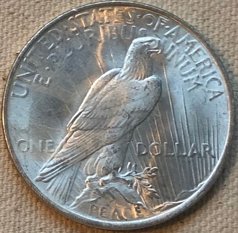 Continuing-List-To-Show-Everyones-Latest-Acquisitions