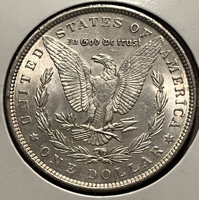 What-Did-You-Add-To-Your-Stash-Today?