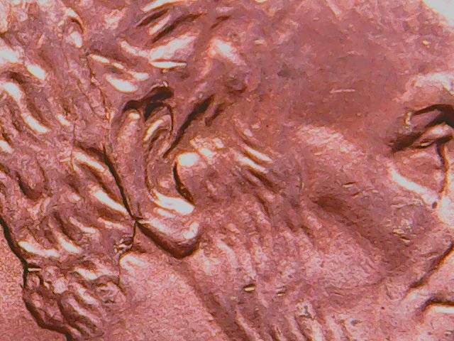 2006-P-Shield-Cent-Error-Die-Chip-And-Die-Crack