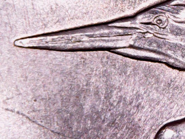 2015-Bombay-Hook-Quarter