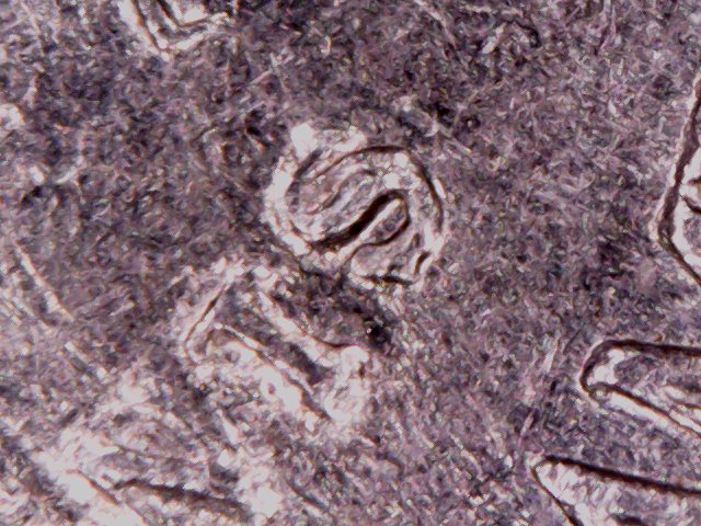 1988-D-Nickel-Can-Anyone-Help-Me-With-This