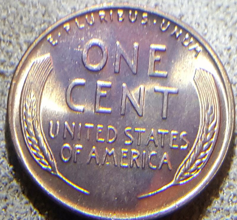 1954-D-Cent-Grade-Help-11-Page-Find