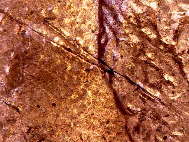 1983-Cent-Possible-Planchet-Problem?