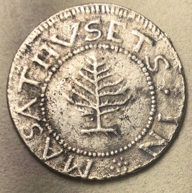 1652-Pine-Tree---Not-Sure-Where-To-Post-This...