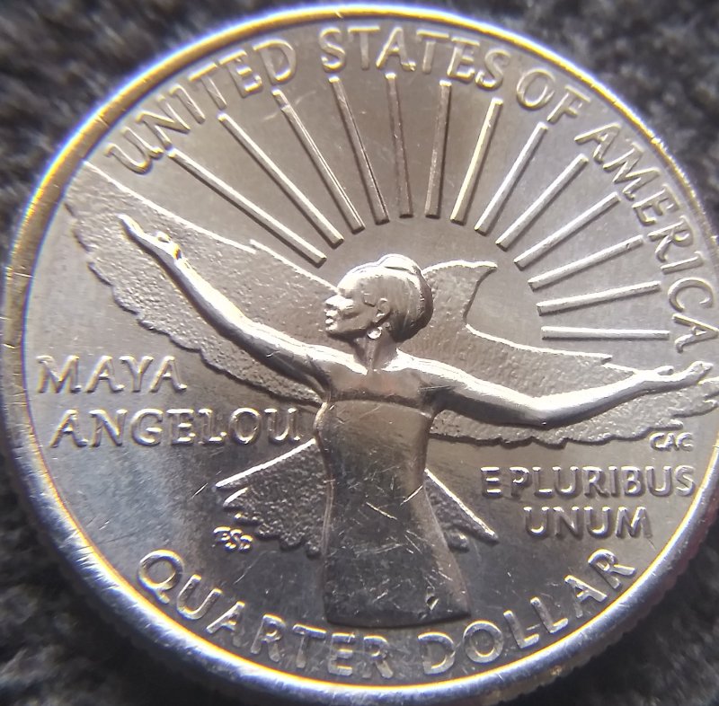 Any-Opinions-On-The-2022-Quarter?