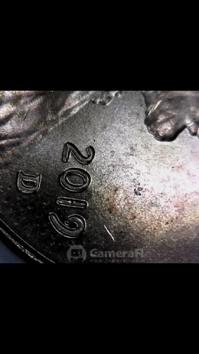 Possible-2019-Penny-DDO/De?-Opinions