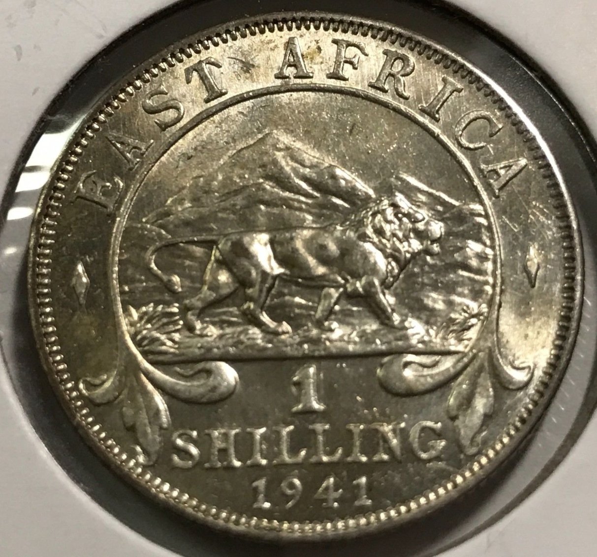 East-Africa-1-Shilling-1941,-Type-I-Or-Type-II?