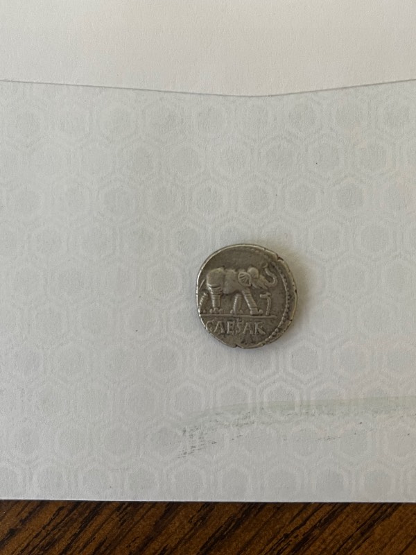 Julius-Caesar-Elephant-Denarius