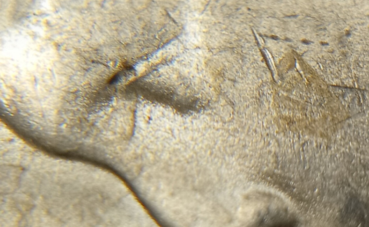 Cracked-Die-On-1922-Peace-Dollar
