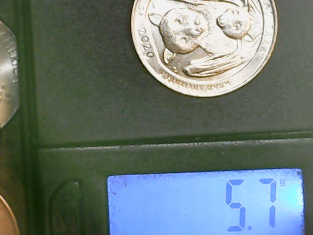 2000-P-South-Carolina-Quarter...dual-Clad-Error,-Wrong-Planchet,-Toning?