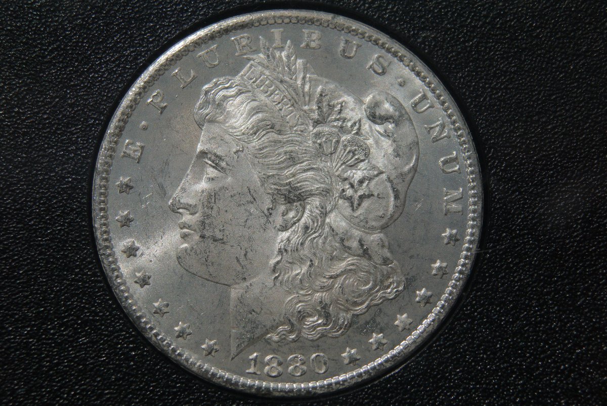 What-Do-You-Think-GSA-80?