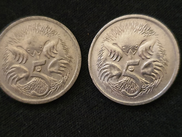 Noodling-Find-Of-The-Week?