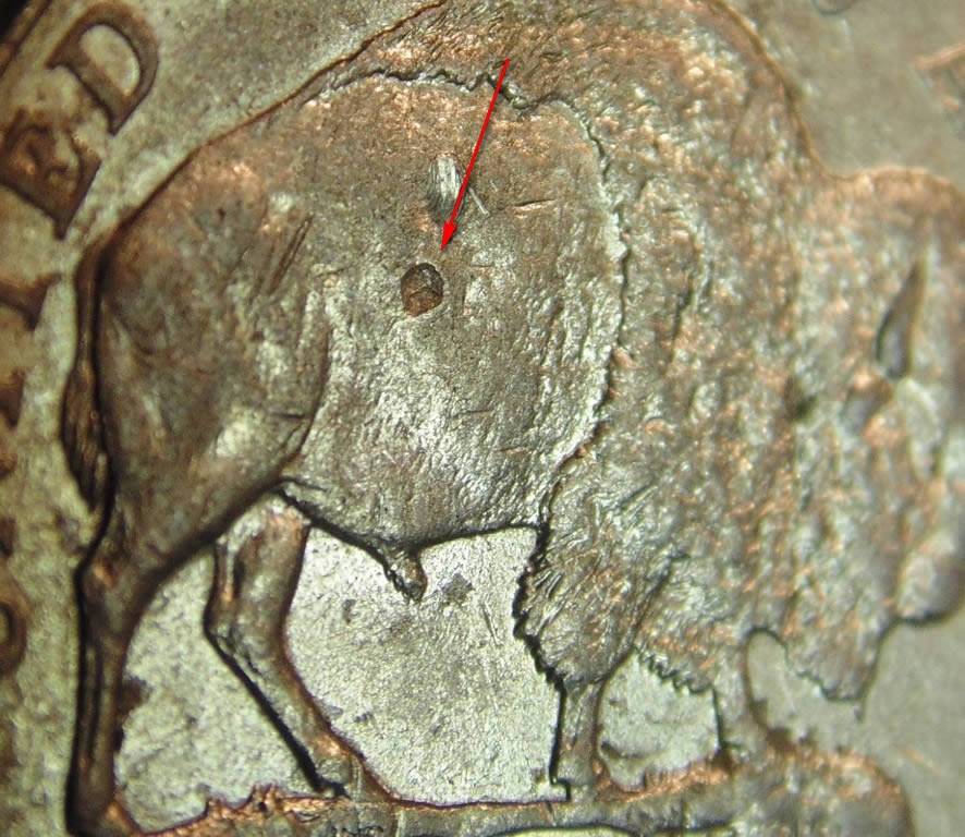 2005-Shot-Buffalo-Nickel!