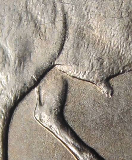 2005-Bison-Nickel-Somewhat-Detached-Leg.