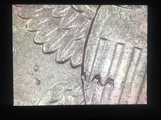 1991-D-Kennedy-Half-Dollar-With-Unique-Strike
