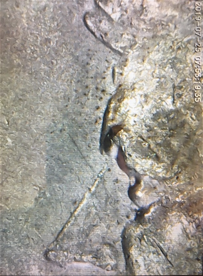 1977-D-Kennedy-Half-Dollar,-Need-Help-Please
