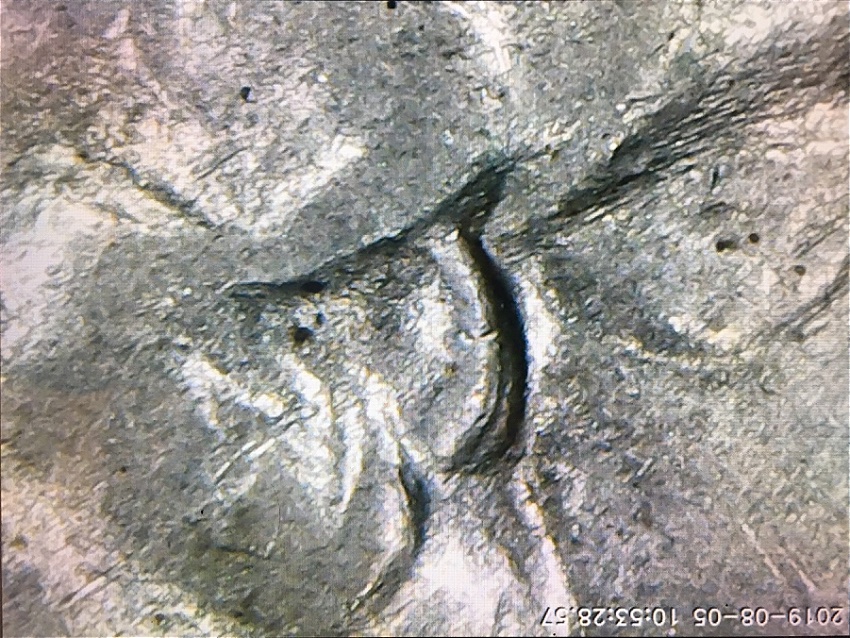 1944-S-Quarter,-Double-Ear?