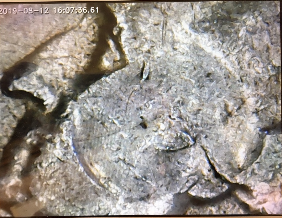 1964-P-Quarter,-Capped-Die-Or-Broadstruck?