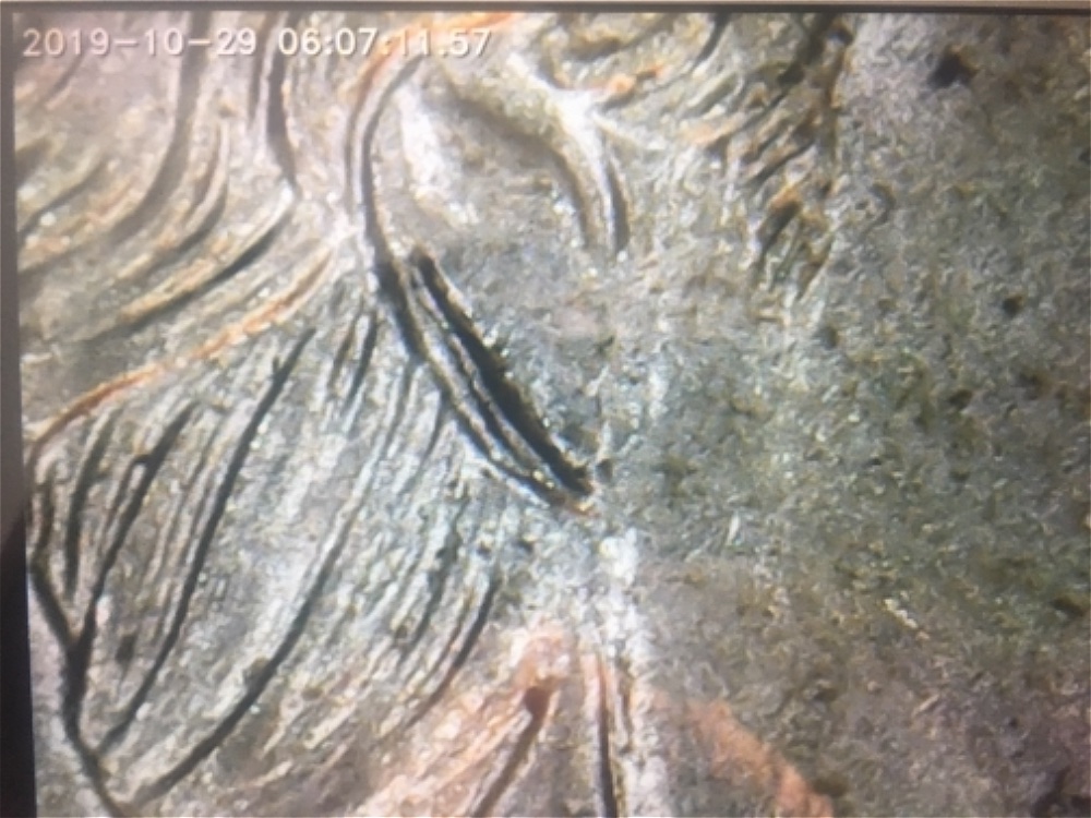 2015-P-Nickel,-Double-Ear?