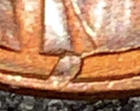 My-First-Post!-1983-Penny-Error