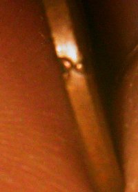 1957--Wheat-Penny-Error?