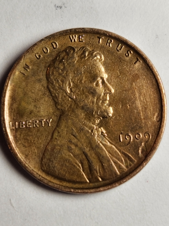 1909-S-VDB.-I-Would-Like-Your-Thoughts-Please