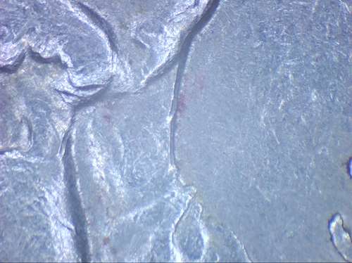 1954-D-Jefferson-Nickel-New-DDO?-Opinions-Please