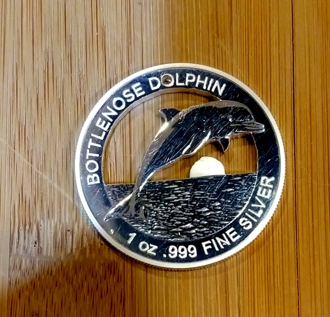 2019-Bottle-Nose-Dolphin