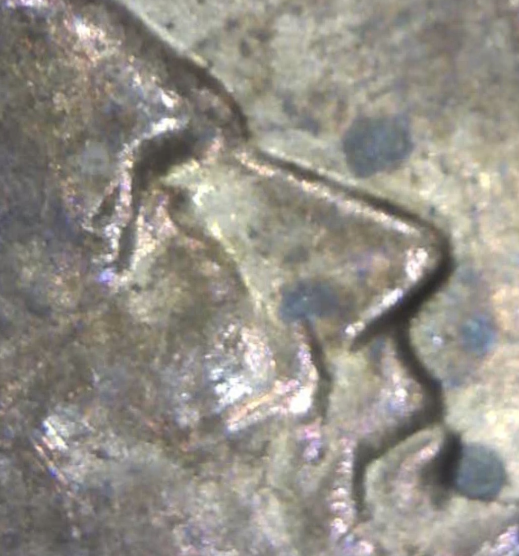 I-Had-Some-Questions-On-Obverse-Of-1984-D-LMC