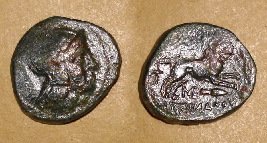 My-First-Animal-On-A-Coin.
