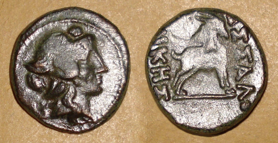 My-First-Animal-On-A-Coin.