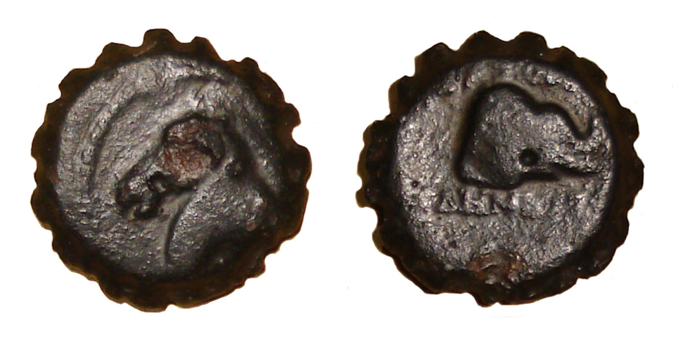 My-First-Animal-On-A-Coin.