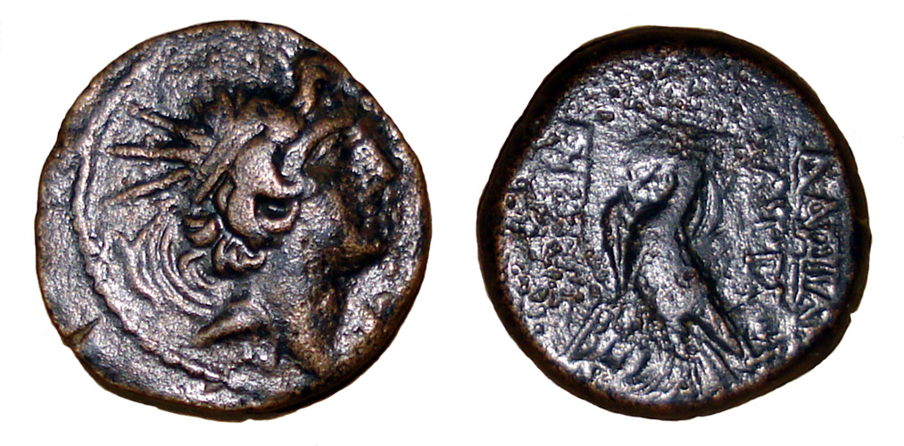 My-First-Animal-On-A-Coin.
