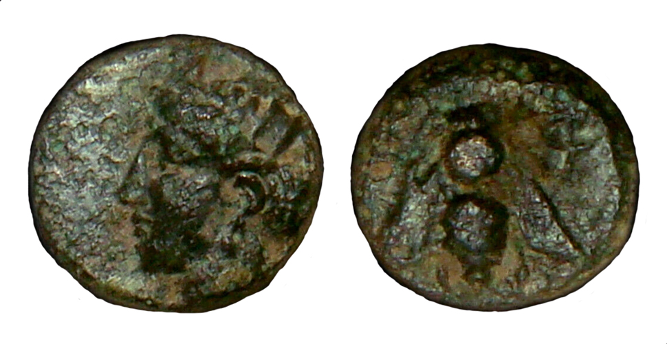 My-First-Animal-On-A-Coin.