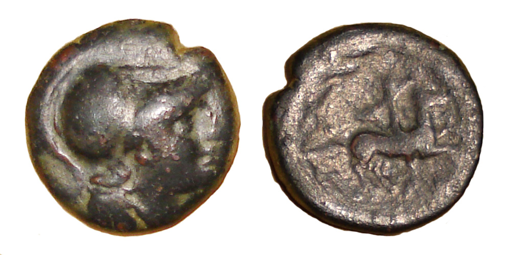My-First-Animal-On-A-Coin.