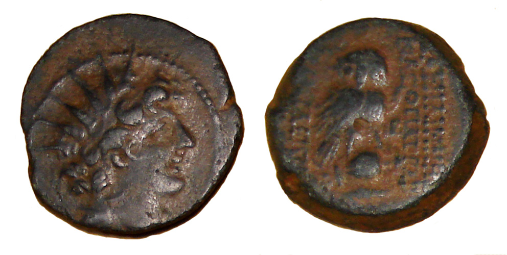 My-First-Animal-On-A-Coin.