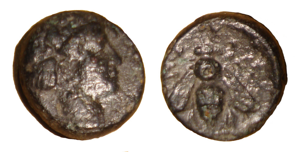 My-First-Animal-On-A-Coin.