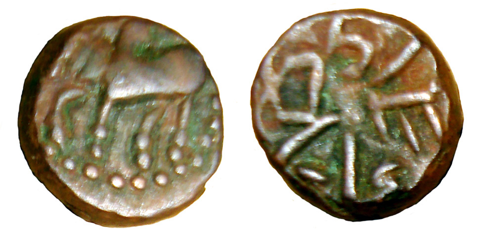 My-First-Animal-On-A-Coin.