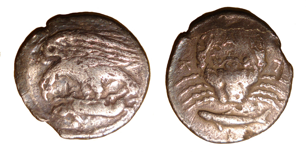 My-First-Animal-On-A-Coin.