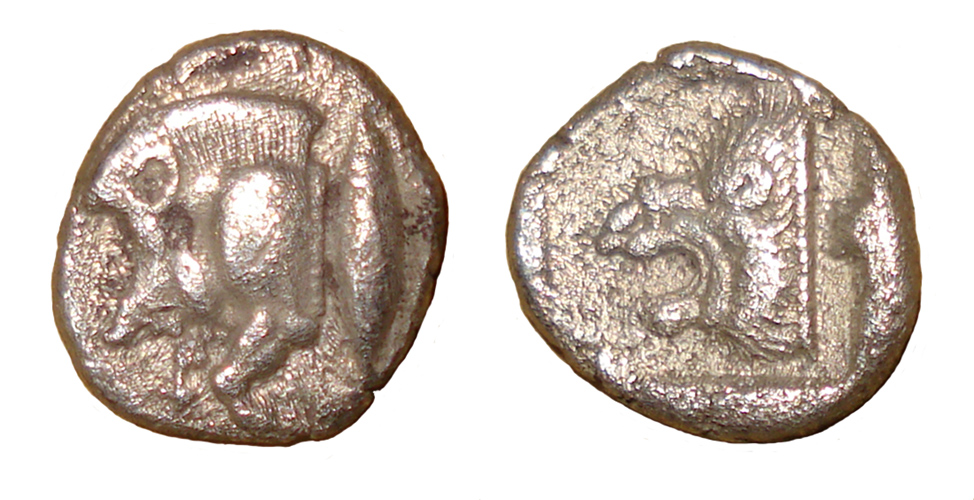 My-First-Animal-On-A-Coin.