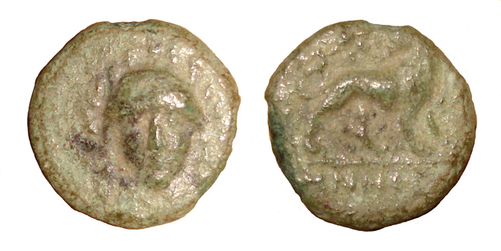 My-First-Animal-On-A-Coin.