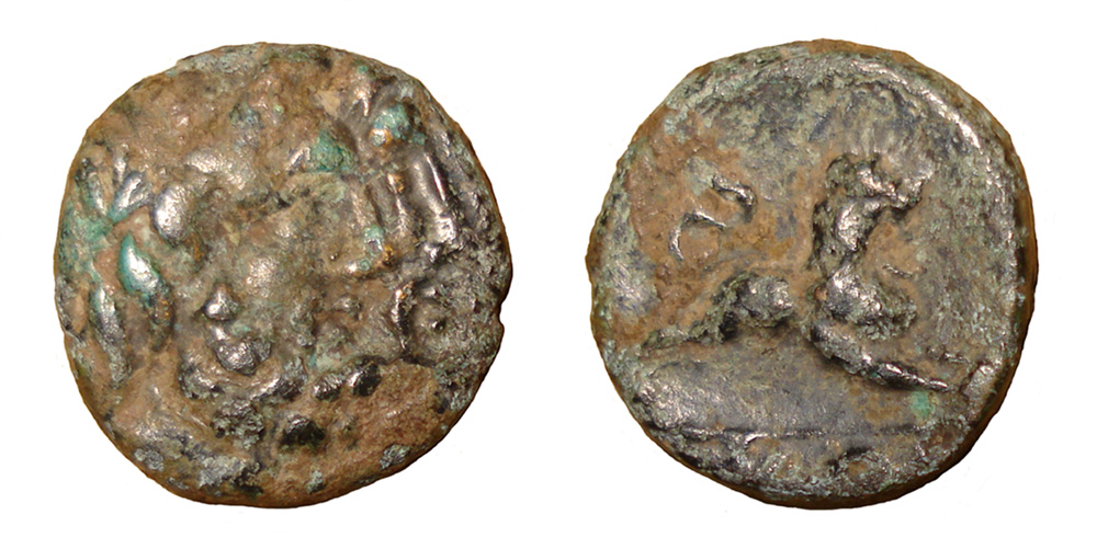 My-First-Animal-On-A-Coin.