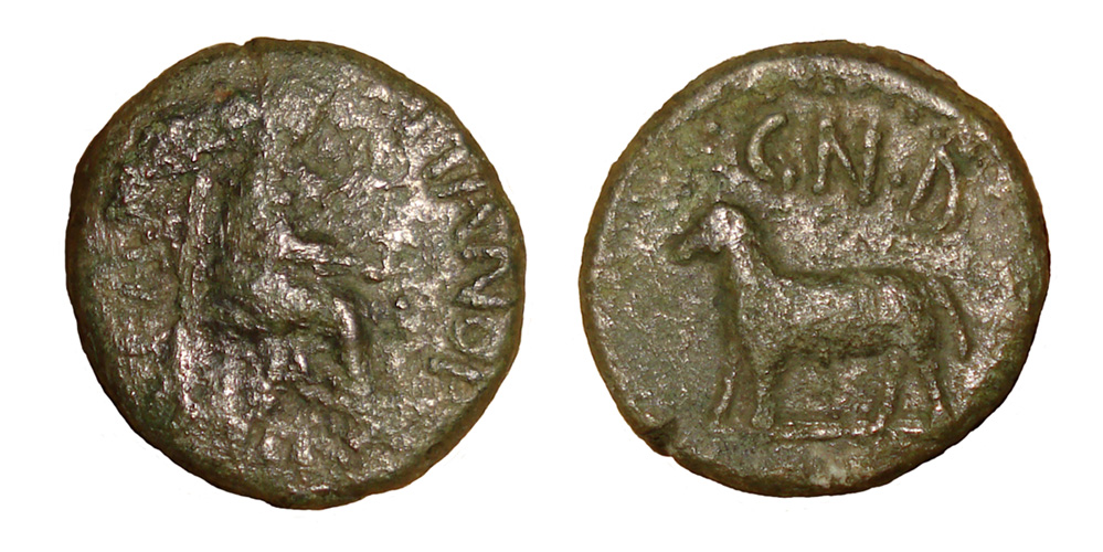 My-First-Animal-On-A-Coin.