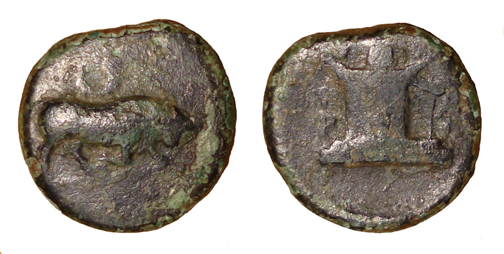 My-First-Animal-On-A-Coin.