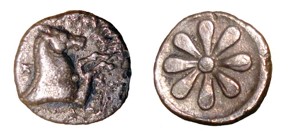 My-First-Animal-On-A-Coin.