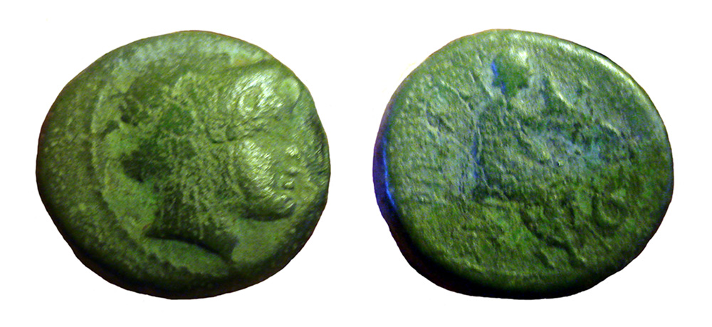 My-First-Animal-On-A-Coin.