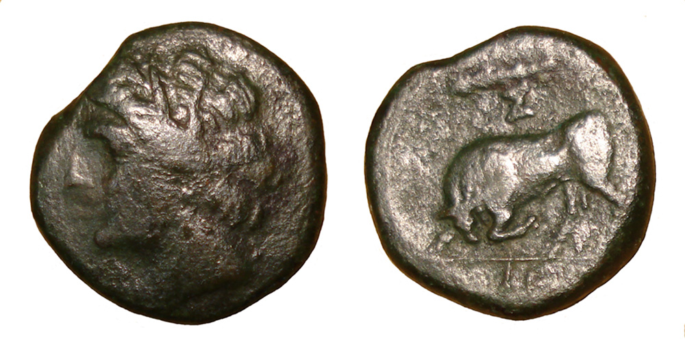 My-First-Animal-On-A-Coin.